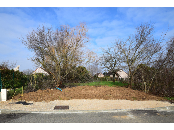 Terrain Sennecey-le-Grand  pièce - 52553€